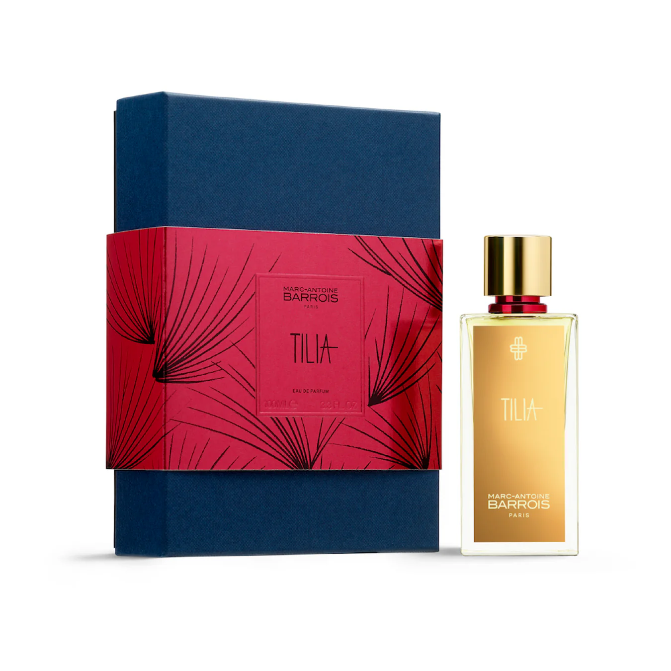 TILIA - Image 3